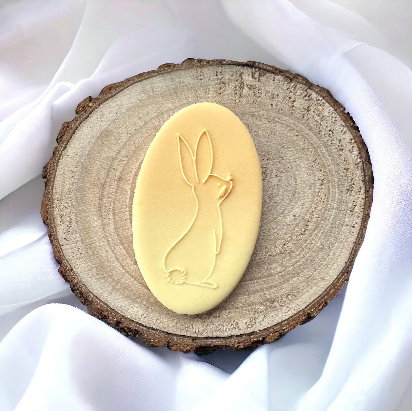 Bunny Rabbit #8
