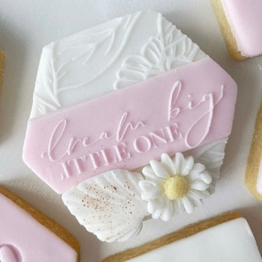 Dream Big Little One